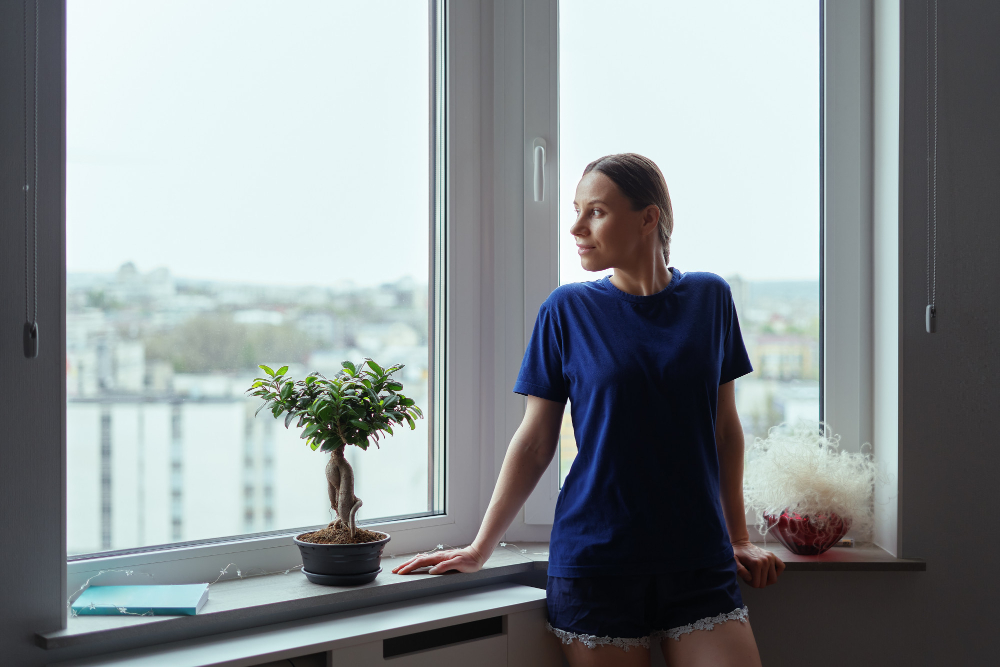 Fort Myers Vinyl Windows